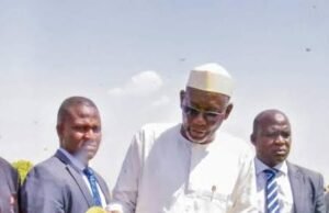 Jigawa’s Green Revolution: Turning Farmland into Fortune Under Governor Umar Namadi