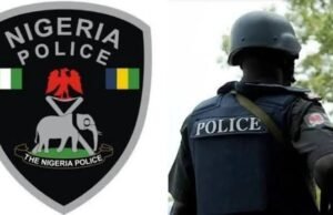 Police Smash Criminal Hideouts, Arrest 153 Suspects in Jigawa