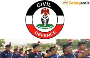 NSCDC records 125 rape, vandalism cases in Jigawa