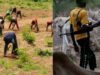 One Killed, Several Injured in Farmers–Herdsmen Clash in Jigawa