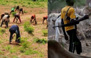 One Killed, Several Injured in Farmers–Herdsmen Clash in Jigawa