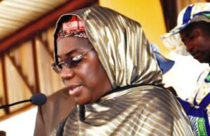 Why Northern Nigeria is witnessing slow pace in educational development-Ex-Education Minister