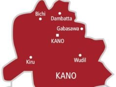 Kano to Welcome Up to 700,000 Newborns in 2026