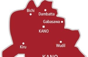 Kano to Welcome Up to 700,000 Newborns in 2026