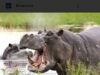 Hippopotamus attack Fisher men killed 3 in Adamawa