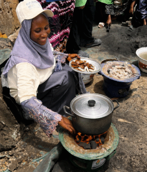 How Households Embrace Briquettes as Alternative Energy to LPG, Firewood in Jigawa