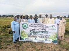 JATA Unveils Biofortified Zinc Rice to Boost Nutrition, Food Security