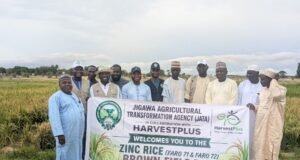 JATA Unveils Biofortified Zinc Rice to Boost Nutrition, Food Security
