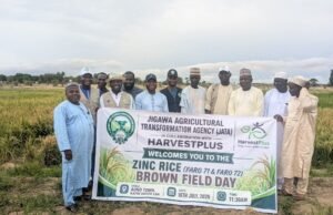 JATA Unveils Biofortified Zinc Rice to Boost Nutrition, Food Security